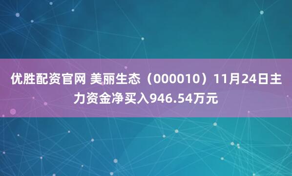 优胜配资官网 美丽生态（000010）11月24日主力资金净买入946.54万元