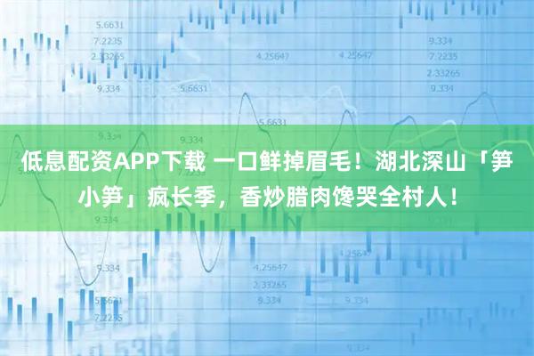 低息配资APP下载 一口鲜掉眉毛！湖北深山「笋小笋」疯长季，香炒腊肉馋哭全村人！