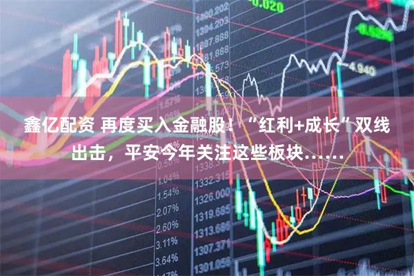 鑫亿配资 再度买入金融股！“红利+成长”双线出击，平安今年关注这些板块……