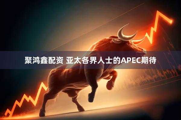 聚鸿鑫配资 亚太各界人士的APEC期待
