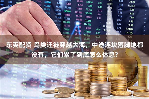 东英配资 鸟类迁徙穿越大海，中途连块落脚地都没有，它们累了到底怎么休息?