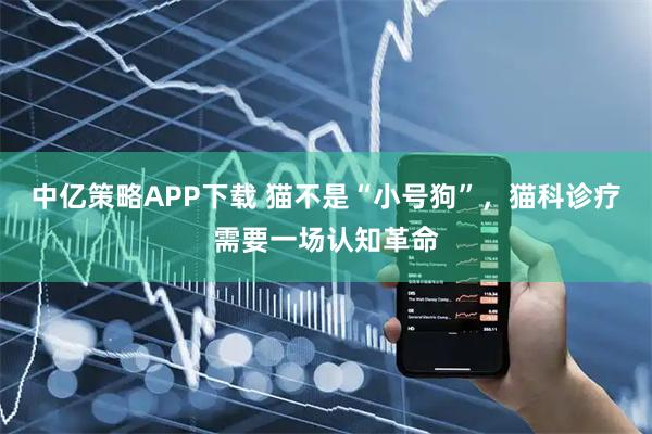 中亿策略APP下载 猫不是“小号狗”,猫科诊疗需要一场认知革命